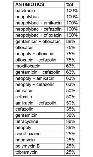 Gram positive cocci